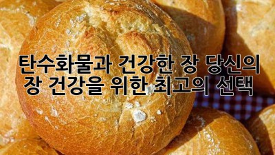 탄수화물과 건강한 장: 당신의 장 건강을 위한 최고의 선택