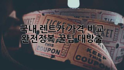 🚗 국내 렌트카 가격 비교 완전정복! 꿀팁 대방출 🍯
