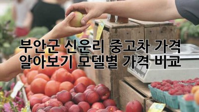 부안군 신운리 중고차 가격 알아보기: 모델별 가격 비교
