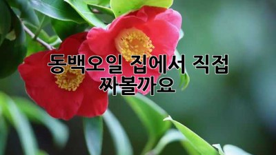 동백오일, 집에서 직접 짜볼까요?